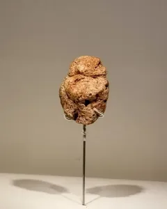 Venus of Berekhat Ram stone figurine on a display stand