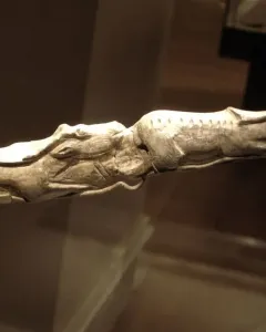 Elongated ivory carving of two swimming reindeer on a metal stand.