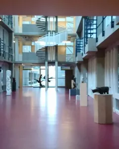 Homunculus Loxodontus sits along a hallway beside large windows.