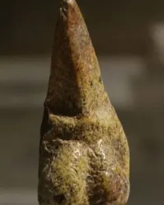 Venus of Savignano stone figurine with a stylized female torso on a stand.