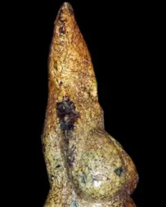 Venus of Savignano stone figurine with a stylized female torso on a stand.