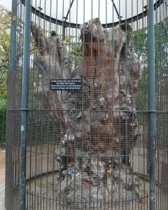 The Elfin Oak, a gnarled tree stump covered with small colorful figures inside a tall metal cage.