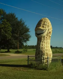 Jimmy Carter Peanut Statue shaped like a large smiling peanut on a grassy lawn behind a wire fence.