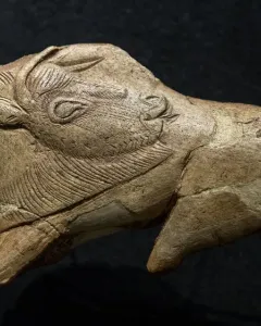 Carved bison figurine with its tongue extended, showing an engraved eye and textured fur details.