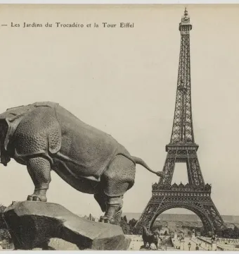 Rhinoceros sculpture in profile with the Eiffel Tower in the background