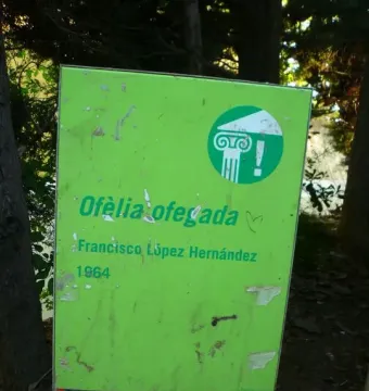 Weathered green information sign for Ofèlia ofegada by Francisco López Hernández, mounted on a concrete base outdoors.