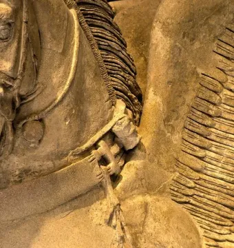 Close-up of the Winged Horses of Tarquinia showing a horse’s head with bridle and a feathered wing.