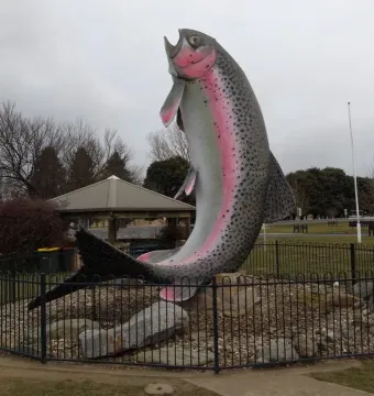 The Big Trout sculpture, a large brightly painted fish with a pink stripe, rises from rocks inside a black fence in a park.