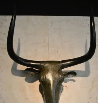 Toros de Costitx bronze bull head with curved horns against a light wall.