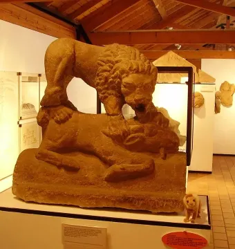 Corbridge Lion sculpture displayed on a white pedestal in a museum gallery