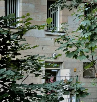 Light-colored guard house with barred windows, partly hidden by dense green foliage and an open doorway.