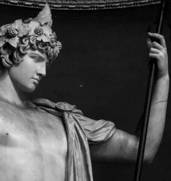 Upper body of the Antinous Braschi statue, a youthful male marble figure with a leafy wreath in his curly hair, looking down to the right and holding a staff.