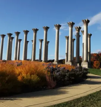 Capitol Columns standing above colorful autumn foliage with a curved path nearby under a blue sky.