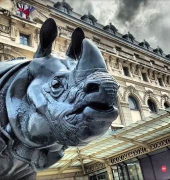 Dark rhinoceros sculpture seen from below in front of an ornate building with flags and a glass canopy.