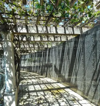 Shaded walkway beside the Holocaust Memorial’s engraved wall, with a vine-covered trellis casting patterned shadows.