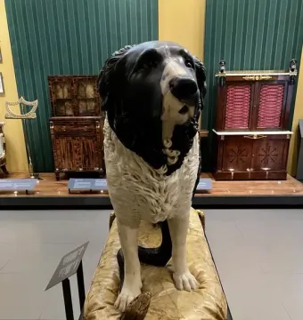 Bashaw, a black and white dog statue, stands on a gold-colored cushion with its paw on a coiled snake.