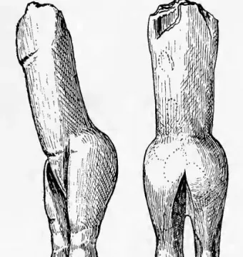 Black and white drawing of the Immodest Venus figurine shown from two angles, with a headless, armless body, flat upper torso, prominent buttocks, and tapered legs.