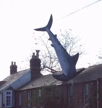 The Headington Shark sculpture impaled tail-first into the roof of a brick house.