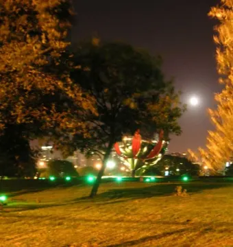 Floralis Genérica partially visible behind trees at night, with a moon overhead and city lights in the distance.