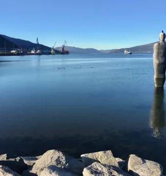 Havmannen sculpture seen from behind in calm water with a bird perched on its head and a clear reflection below.