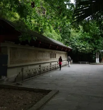 Huangze Monastery rock sculptures along a stone wall beside a tree-lined pathway