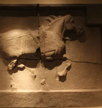 Weathered stone relief panel from the Six Steeds of Zhao Mausoleum showing a horse in profile, illuminated in a museum display.