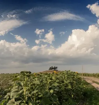 The Legendary Tachanka monument rises on a grassy mound beyond green fields and sunflowers under a dramatic blue sky.