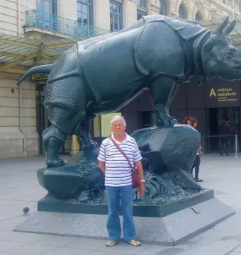 Jacquemart rhinoceros sculpture standing on a rock base outside a museum entrance