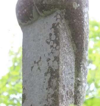 Lower portion of the Vénus de Quinipily stone sculpture, showing its weathered base and rounded hips against green foliage.