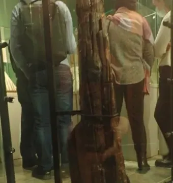 The Shigir Idol, a tall carved wooden artifact displayed upright in a glass case.