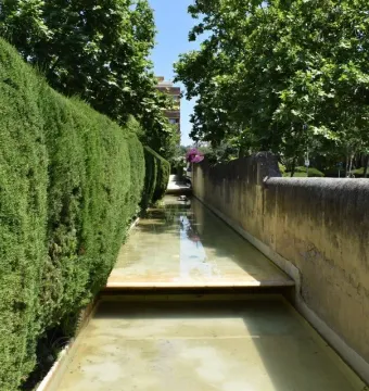 A narrow outdoor water channel with a wooden platform, bordered by a dense hedge and a stone wall.