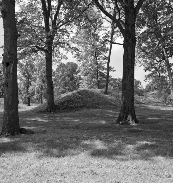 Grassy mounds at Newark Earthworks with large trees casting shadows in the foreground.