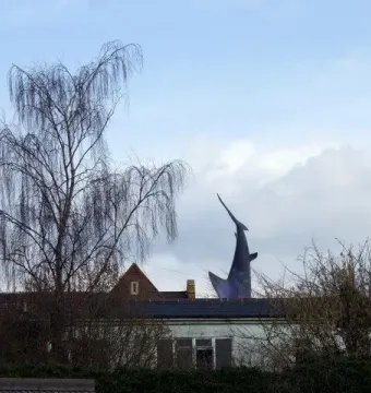 The Headington Shark sculpture appears to plunge headfirst into the roof of a white house, with a bare tree in the foreground.