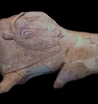 Carved bison sculpture with its tongue extended toward its flank, showing engraved fur details and a cracked, incomplete form.