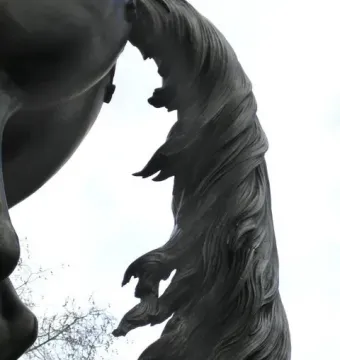 Close-up of the tail detail on the William III equestrian statue, seen against a bright sky.