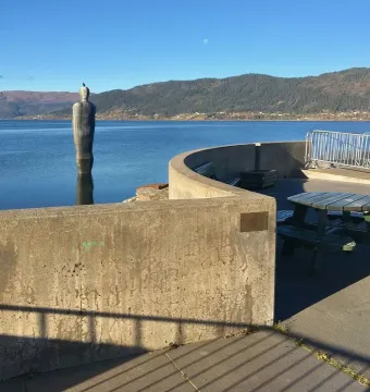 Havmannen sculpture partially submerged in calm fjord water, with a bird perched on its head.