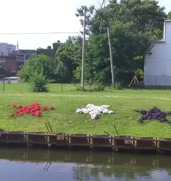 Star-shaped flowerbeds in red, white, and purple on a grassy bank above the water, with buildings and trees in the background.