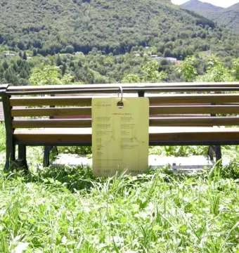 A wooden bench with a hanging plaque stands in a grassy area facing a green mountainside.