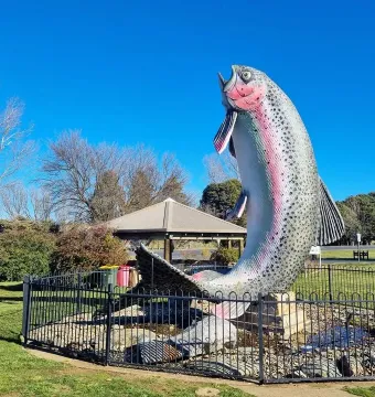 The Big Trout sculpture, a large trout statue with a pink stripe and grey scales, stands in a park behind a black fence.