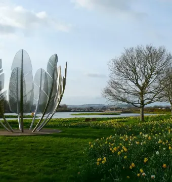 Kindred Spirits sculpture with polished metal feather-like forms in a circular arrangement above a grassy field with daffodils.