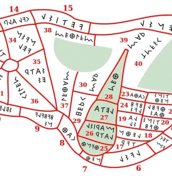 Diagram of the Liver of Piacenza divided into numbered sections with inscriptions marked in red and a few light green highlighted areas.