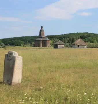 Kernosivka Idol standing in tall grass with small white wildflowers