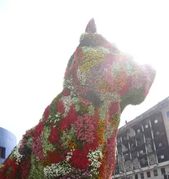 Puppy, a giant dog sculpture covered in colorful flowers, standing outdoors near the Guggenheim Museum Bilbao.