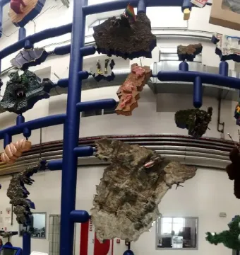 Entropa installation with suspended abstract sculptures in a blue grid framework.