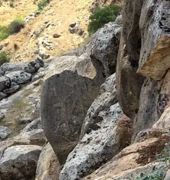 Weathered Karasu relief carved into a dark rock face, partially obscured by shadows and surrounding stone.