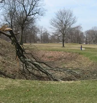 A broken tree stands beside a shallow ditch at Newark Earthworks, with a person walking a white dog in the background.