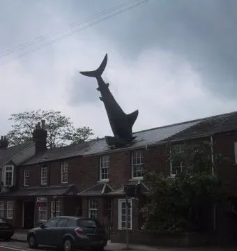 Headington Shark sculpture embedded headfirst in the roof of a brick house.