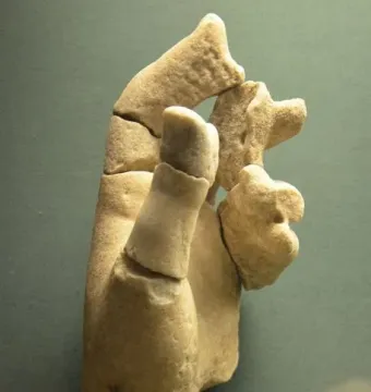 Fragmented marble sculpture from the Bassae frieze, showing a worn reassembled limb against a plain background.