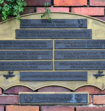 Commemorative plaque on the Warsaw Uprising Monument with Polish text and a small airplane relief, partly covered by ivy.