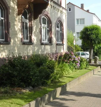 A small rounded tree from 7000 Oaks stands on a paved sidewalk beside a light brick building and garden beds with green bushes and purple flowers.